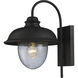 Streetside Cafe 1 Light 15 inch Matte Black Outdoor Wall Sconce