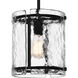 Fortress 1 Light 9.25 inch Earth Black Mini Pendant Ceiling Light