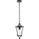 Belgrade 1 Light 7 inch Black Outdoor Pendant