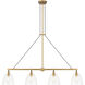 Sommersby Island Light Ceiling Light in Legacy Brass and Matte Coal