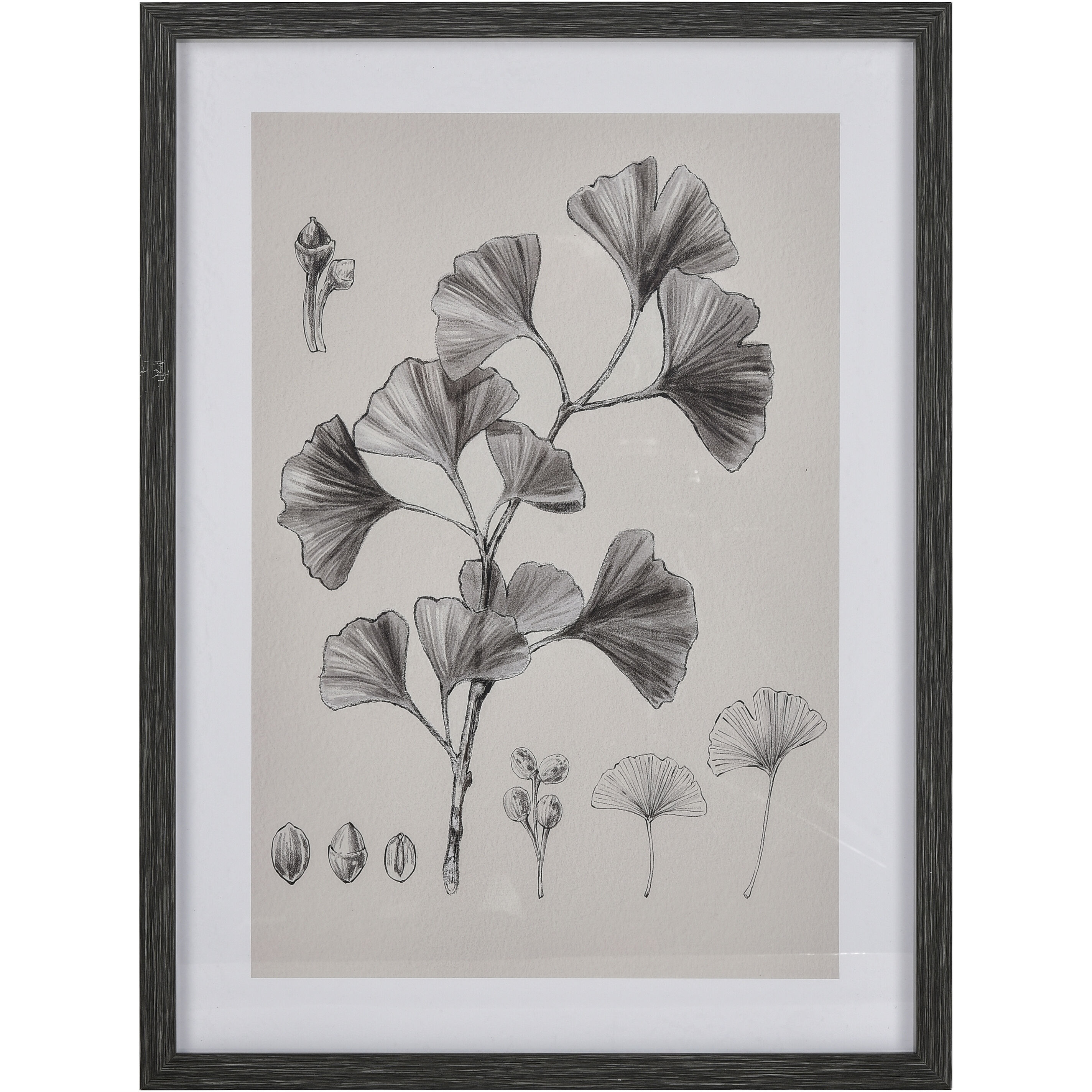 Ginkgo Botanic Ivory with Black and Clear Framed Wall Art