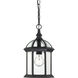 Boxwood 1 Light 8 inch Textured Black Outdoor Hanging Lantern