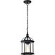 Boxwood 1 Light 8 inch Textured Black Outdoor Hanging Lantern