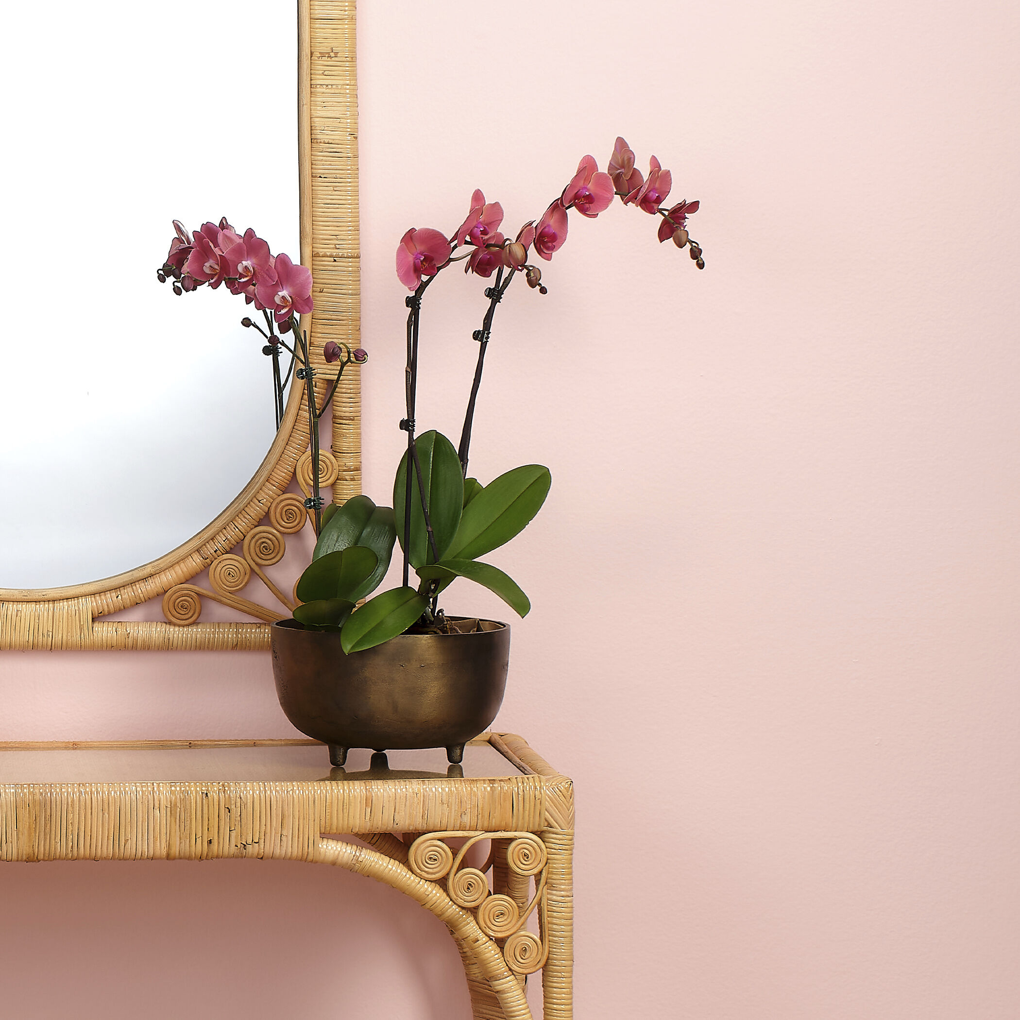 Relic 10 X 5.5 inch Bowl, Large