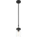 Lily 1 Light 4.75 inch Matte Black Pendant Ceiling Light