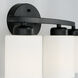 Dixon 3 Light 21 inch Matte Black Vanity Light Wall Light