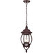 Central Park 3 Light 7 inch Old Bronze Outdoor Hanging Lantern