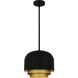 Frankie 3 Light 12 inch Matte Black Pendant Ceiling Light