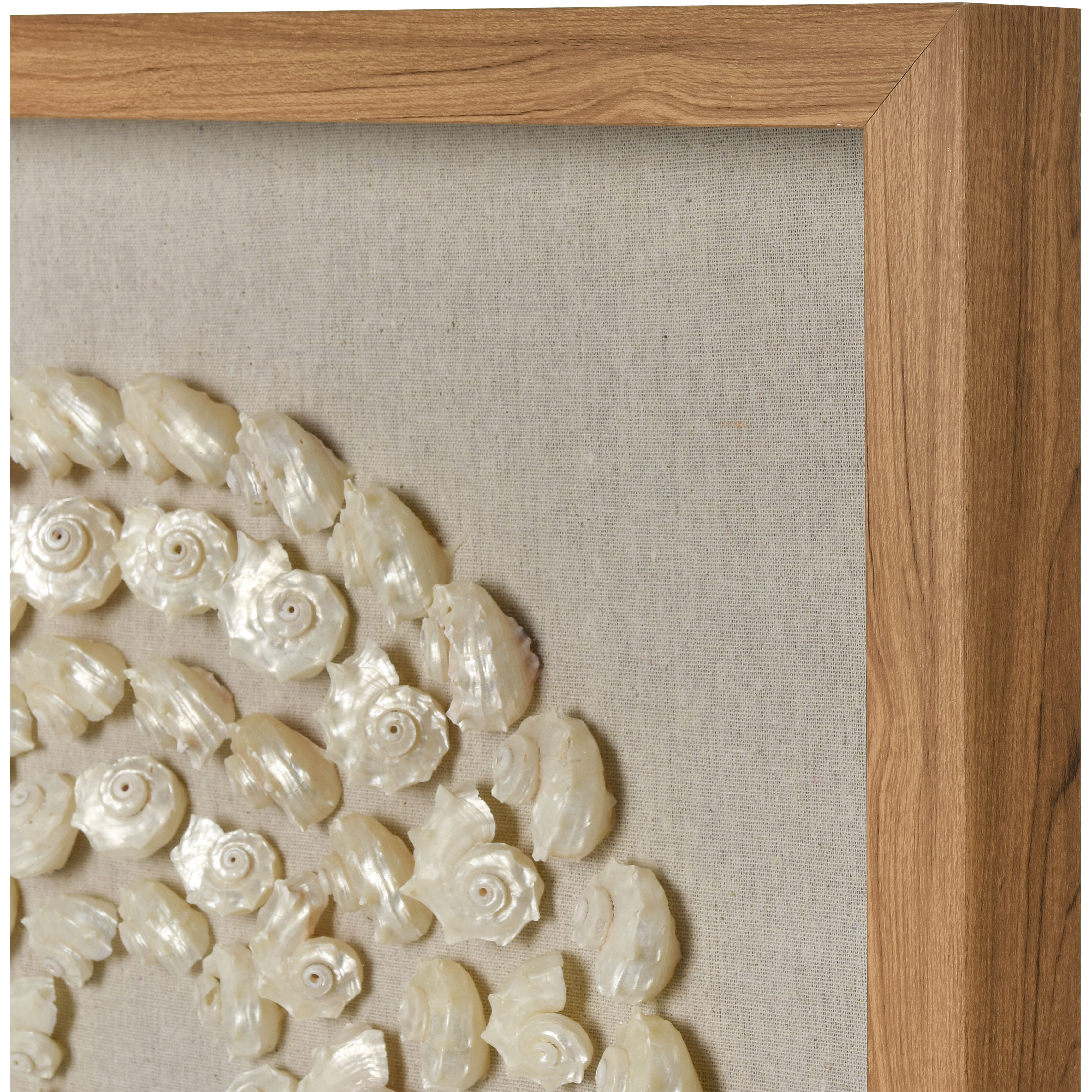 Concentric Shell Natural with Wood Tone and Clear Dimensional Wall Art