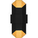Chasm LED 15 inch Matte Black Gold Outdoor Wall Lantern