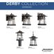 Derby 1 Light 9 inch Espresso Outdoor Hanging Lantern