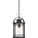 Booker 1 Light 11 inch Mystic Black Hanging Lantern Ceiling Light