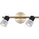 Elsee 2 Light Black/Gold Track Lighting Ceiling Light