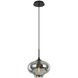 Irresistible Organic Charm 1 Light 11 inch Smoke Pendant Ceiling Light