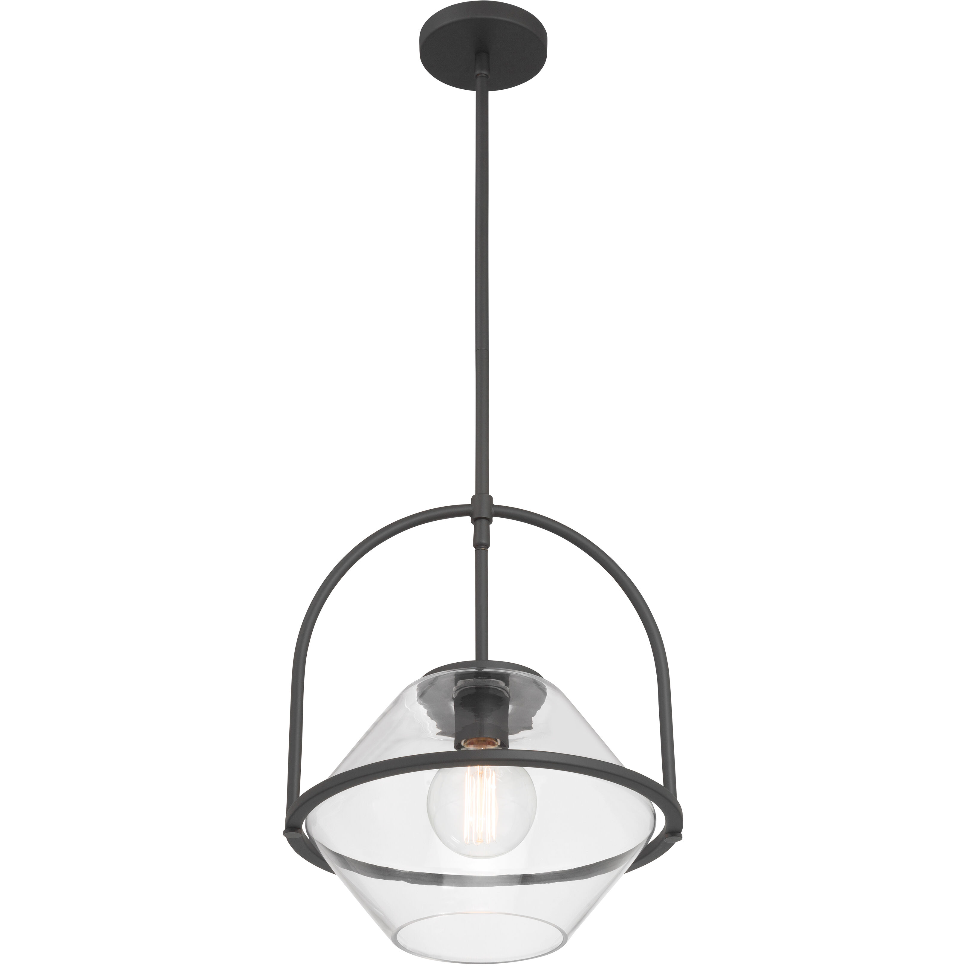 Coralyn 1 Light 13.25 inch Dark Matte Black Pendant Ceiling Light