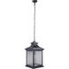 Gentry 1 Light 12 inch Midnight Outdoor Pendant, Large