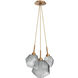 Gem LED 13.5 inch Novel Brass Chandelier Ceiling Light in Smoke, 2700K LED, Cluster