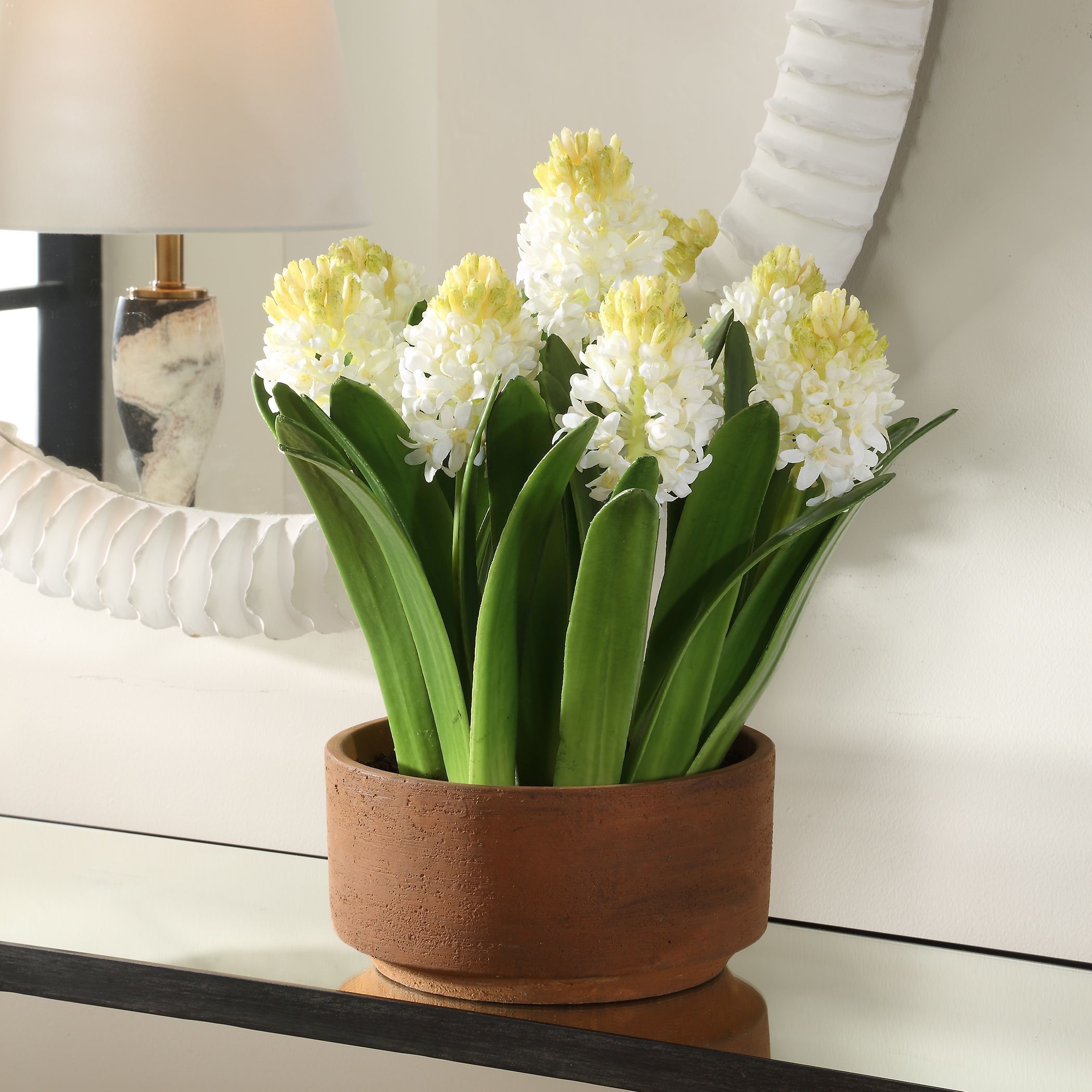 Sincerity White and Green and Terracotta Potted Hyacinth Plant