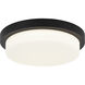 Durham LED 15.75 inch Matte Black Flush Mount Ceiling Light