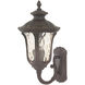 Oxford 3 Light 22 inch Imperial Bronze Outdoor Wall Lantern