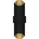 Chasm LED 21 inch Matte Black Gold Outdoor Wall Lantern