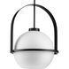 Delayne 1 Light 16.12 inch Matte Black Pendant Ceiling Light