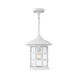 Freeport LED 10 inch Classic White Outdoor Hanging Light