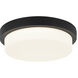 Durham LED 12.88 inch Matte Black Flush Mount Ceiling Light