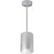 iLENE Silver Stem Mount Mini Cylinder Ceiling Light