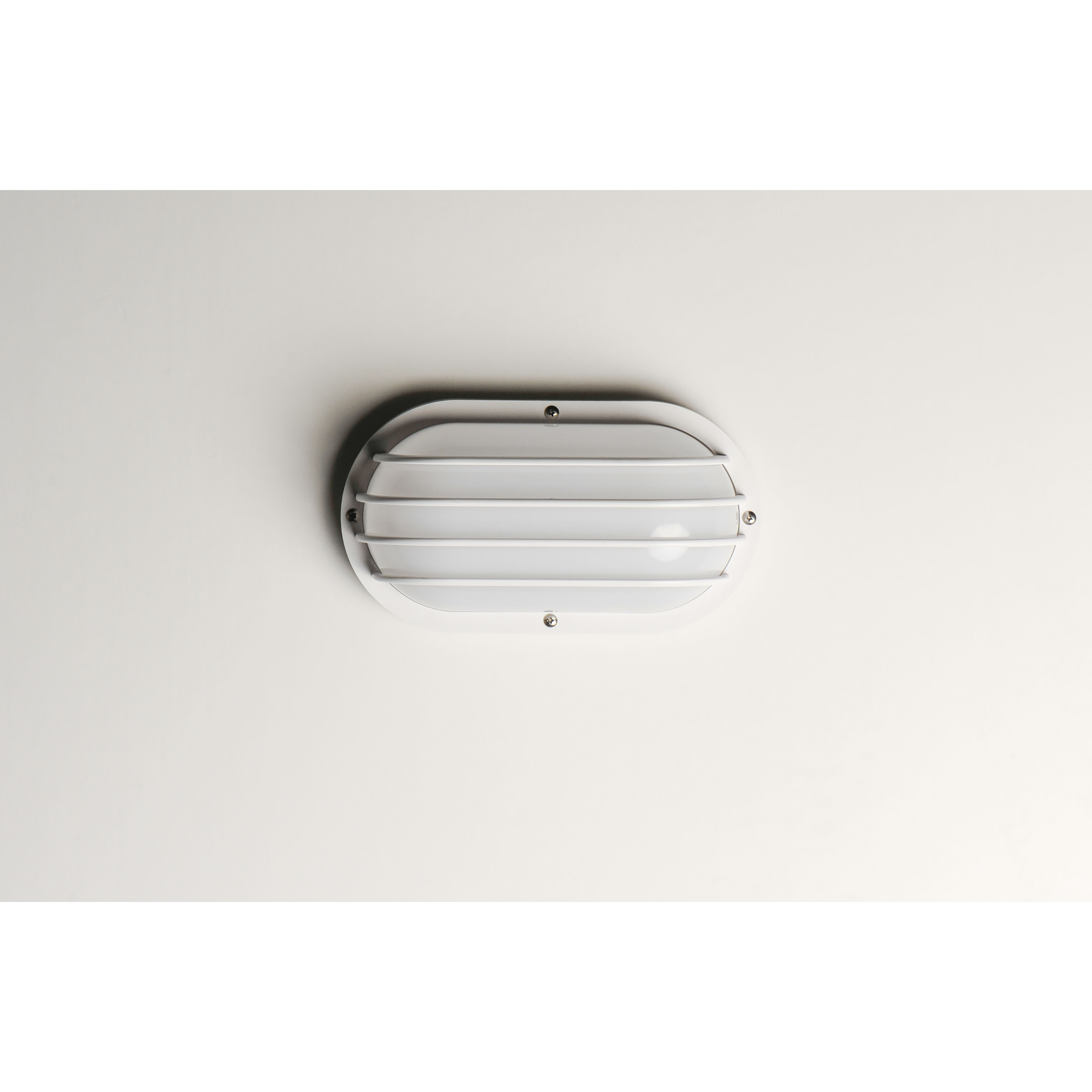 Bulwark LED 6 inch White Outdoor Wall Mount
