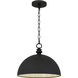 Braylon Pendant Ceiling Light