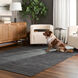 Kiran 36 X 24 inch Dark Grey Rug in 2 x 3