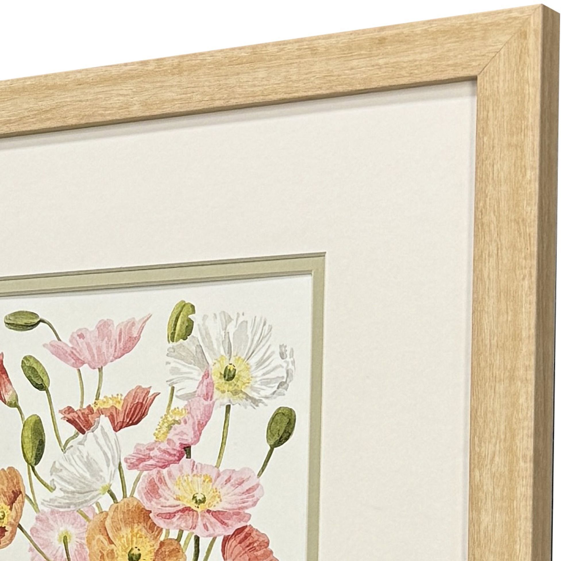 Wiry Poppies Pink and Orange and Green and White Framed Art, Propac