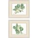 Fiddle Fig Leaf Green Framed Art, Propac