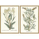 Botanical Plants Green and Multi and Neutral and Yellow Framed Art