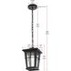 Bodine 1 Light 7 inch Black Outdoor Pendant