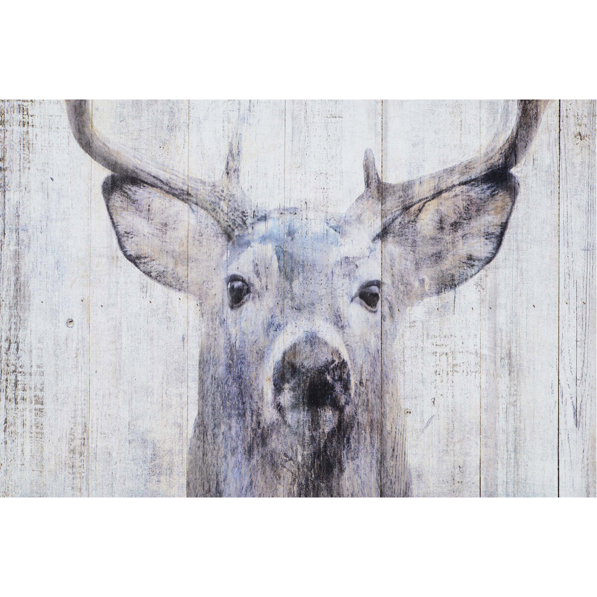 Gaze Matte Wall Decor, Medium