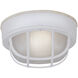Round White Outdoor Ceiling Bulkhead