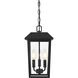 Riggs 3 Light 8 inch Black Outdoor Pendant