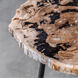 Mircea 20 X 16 inch Natural Petrified Wood and Aged Black Accent Table