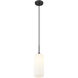 Monty 1 Light 5.25 inch Matte Black Pendant Ceiling Light