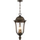 Havenwood 3 Light 9.5 inch Tavira Bronze And Alder Silver Outdoor Hanging Light, The Great Outdoors