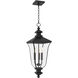 Farley 3 Light 9.75 inch Matte Black Outdoor Hanging Lantern