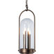 Davis 4 Light 11.7 inch Coastal Black Outdoor Hanging Lantern