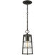 Helix 1 Light 6 inch Black Outdoor Chain Mount Ceiling Fixture