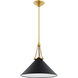 Kalea 1 Light 16.25 inch Aged Brass and Soft Black Pendant Ceiling Light