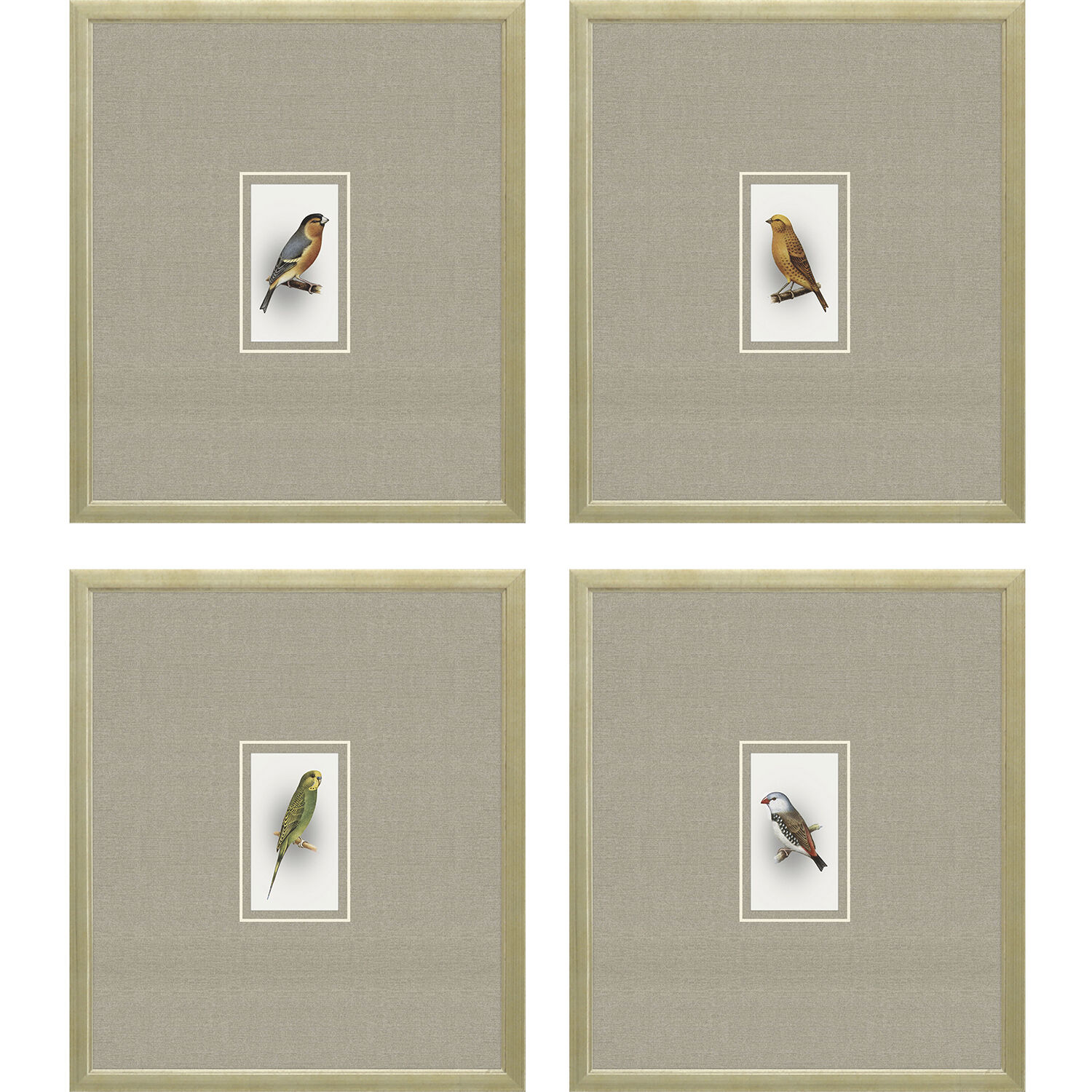 Here Birdie Multi and Brown and Neutral and Yellow Framed Art