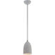Arlington 1 Light 6 inch Nordic Gray with Brushed Nickel Accents Pendant Ceiling Light