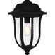 Mulberry 1 Light 9 inch Matte Black Outdoor Hanging Lantern