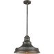 Carbondale 1 Light 15 inch Slate Mist Pendant Ceiling Light